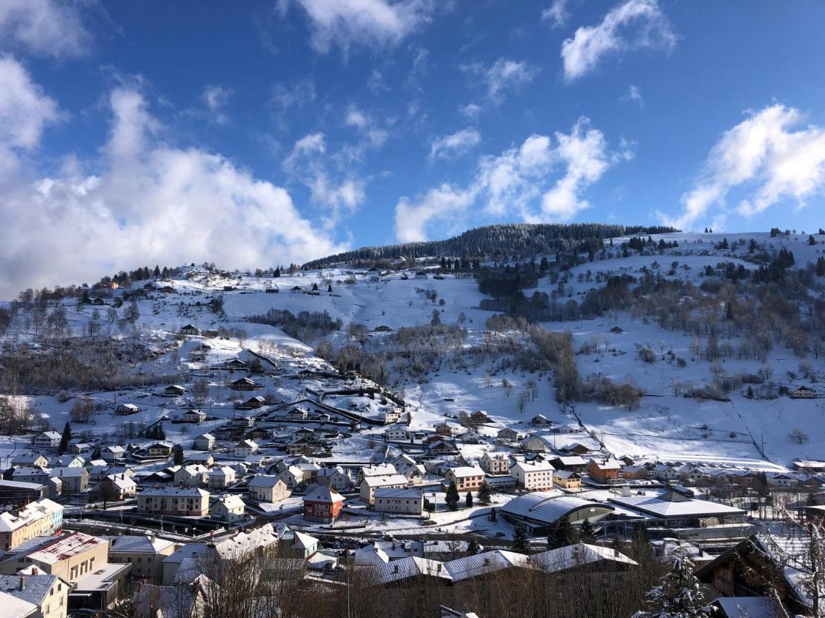 Magnifique Appartement Classe 4 Etoiles Avec Sauna Et Terrasse Dans Chalet La Bresse Dış mekan fotoğraf